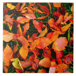 Carreaux d'automne