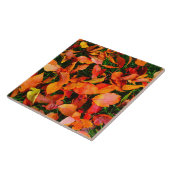 Carreaux d'automne (Côté)