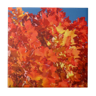 Carreaux d'automne Art Orange Feuilles d'arbre d'a