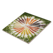 Carreaux de carottes multicolores arc-en-ciel (Côté)