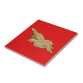 Carreaux de carte de Géorgie (Côté)
