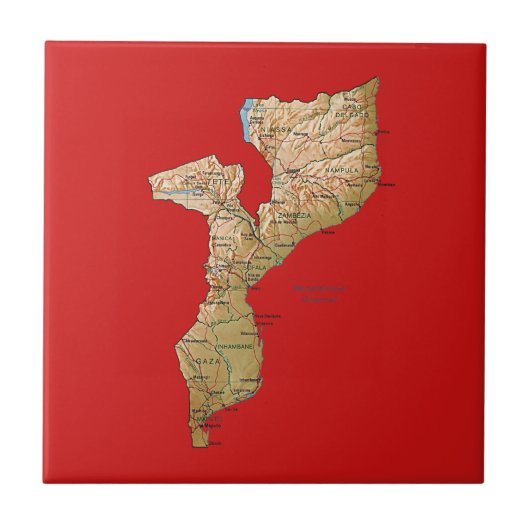 Carreaux de carte du Mozambique (Devant)