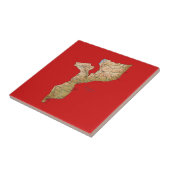 Carreaux de carte du Mozambique (Côté)