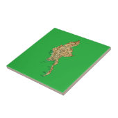 Carreaux de carte du Myanmar (Côté)