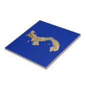 Carreaux de carte du Panama (Côté)