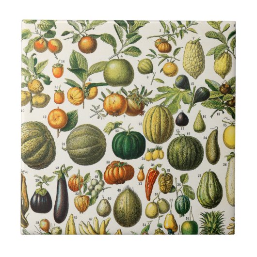 Carreaux de céramique Fruits et Légumes (Devant)