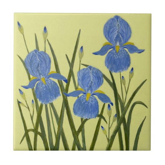 Carreaux de céramique Iris bleus (Devant)