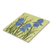 Carreaux de céramique Iris bleus (Côté)