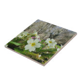Carreaux de céramique Primrose (Côté)