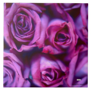 Carreaux de céramique rose