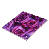 Carreaux de céramique rose (Côté)