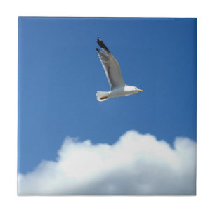Carreaux de céramique Seagull