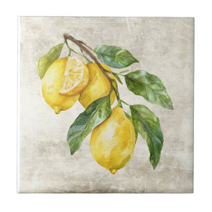 Carreaux de céramique Shabby Chic Citrons Rustique