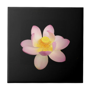 Carreaux de céramique Water Lily