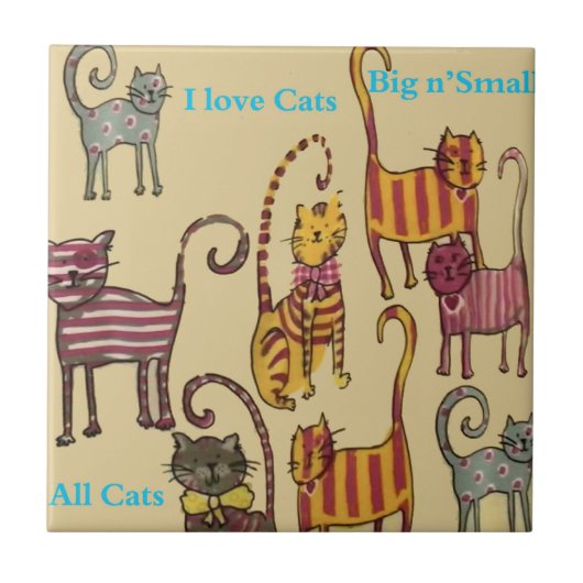 Carreaux de chats (Devant)