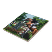 Carreaux de Cheval de Grand Prix (Côté)