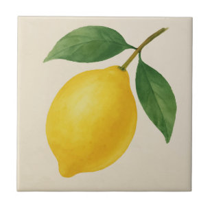 Carreaux de citron en miroir - Aquarelle à droite