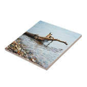 Carreaux de couleurs (Côté)