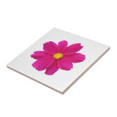 Carreaux de fleurs Cosmos (Côté)
