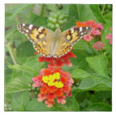 Carreaux de fleurs papillon (Devant)