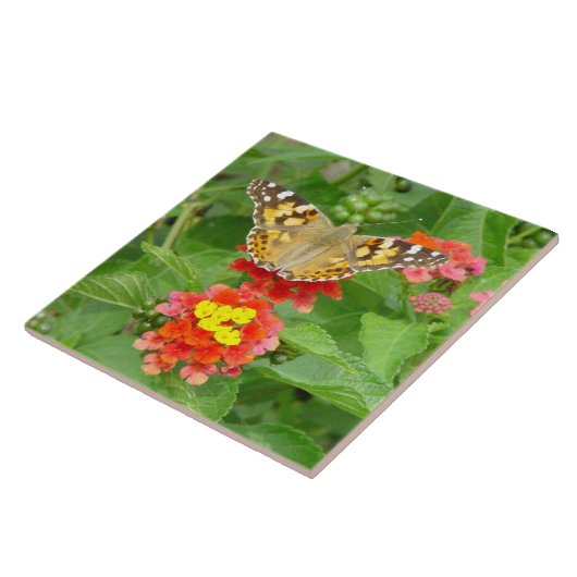 Carreaux de fleurs papillon (Côté)