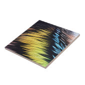 Carreaux de fourrure de chat Carreaux de céramique (Côté)