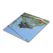 Carreaux de grenouille (Côté)