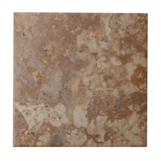 Carreaux de grès brun vintage rustique simple impr (Devant)