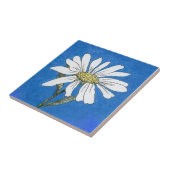 Carreaux de marais (Côté)
