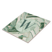 Carreaux de marbre vert clair (Côté)