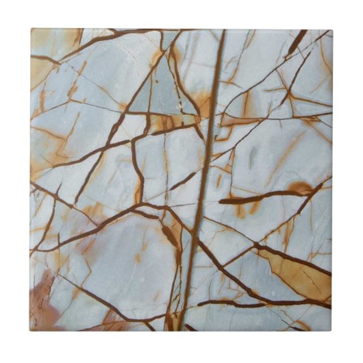 Carreaux de mosaïque blanc et Brown (Devant)