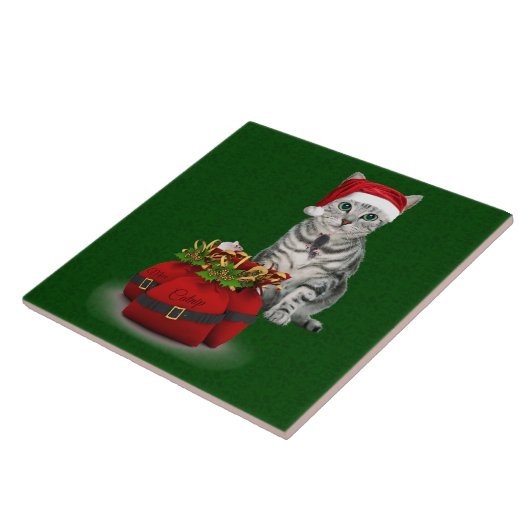 Carreaux de Noël de chat et de souris (Côté)