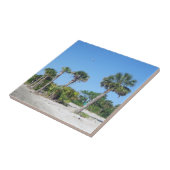 Carreaux de palmiers (Côté)