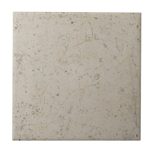 Carreaux de pierre calcaire simple rustique (Devant)