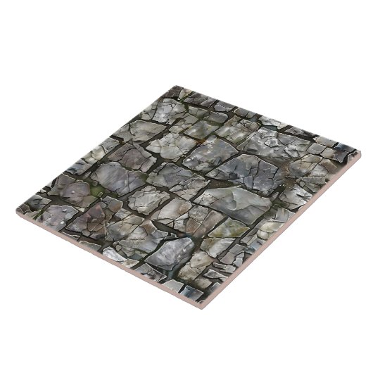 Carreaux de pierre naturelle élégante (Côté)