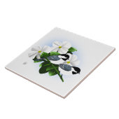 Carreaux de poupée noirs (Côté)