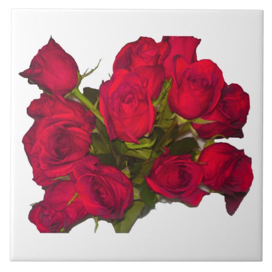 Carreaux de roses rouges (Devant)
