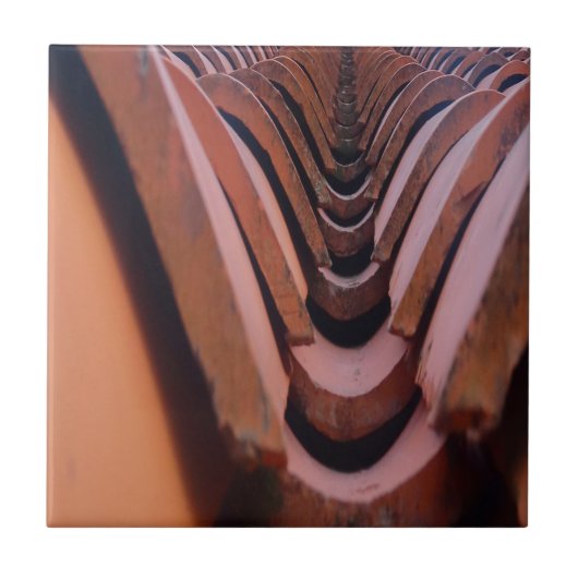 Carreaux de toit rustiques avec perspective unique (Devant)