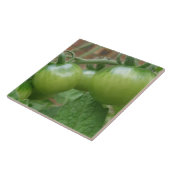 Carreaux de tomates vertes (Côté)