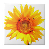 Carreaux de tournesol jaune (Devant)