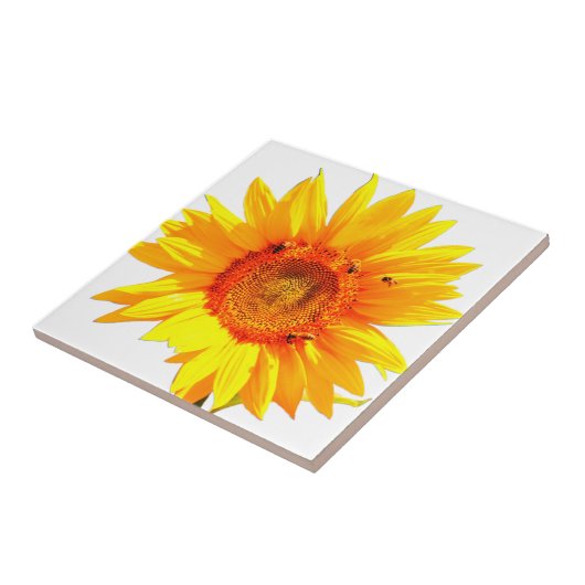 Carreaux de tournesol jaune (Côté)