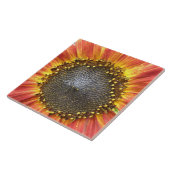 Carreaux de tournesol rouge et jaune (Côté)