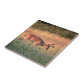 Carreaux décoratifs de cerfs blancs (Buck) (Côté)