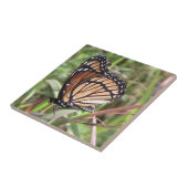 Carreaux décoratifs Monarch Butterfly (Côté)