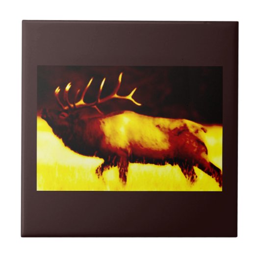 Carreaux d'Elk Horn (Devant)