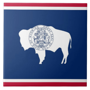 Carreaux d'état du Wyoming