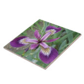 Carreaux d'iris violet (Côté)