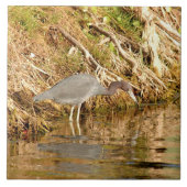 Carreaux d'oiseaux pour le jeune Héron bleu nuit (Devant)