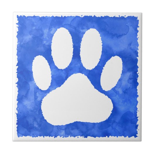 Carreaux en céramique (Devant)