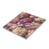 Carreaux en céramique (Côté)